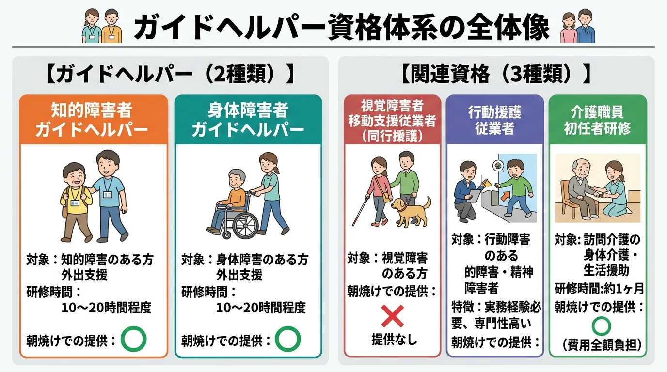 ガイドヘルパー資格体系の全体像。知的障害者ガイドヘルパー、身体障害者ガイドヘルパーの2種類と、視覚障害者移動支援従業者、行動援護従業者、介護職員初任者研修の3つの関連資格について、対象者、研修時間、朝焼けでの提供状況を整理した図解