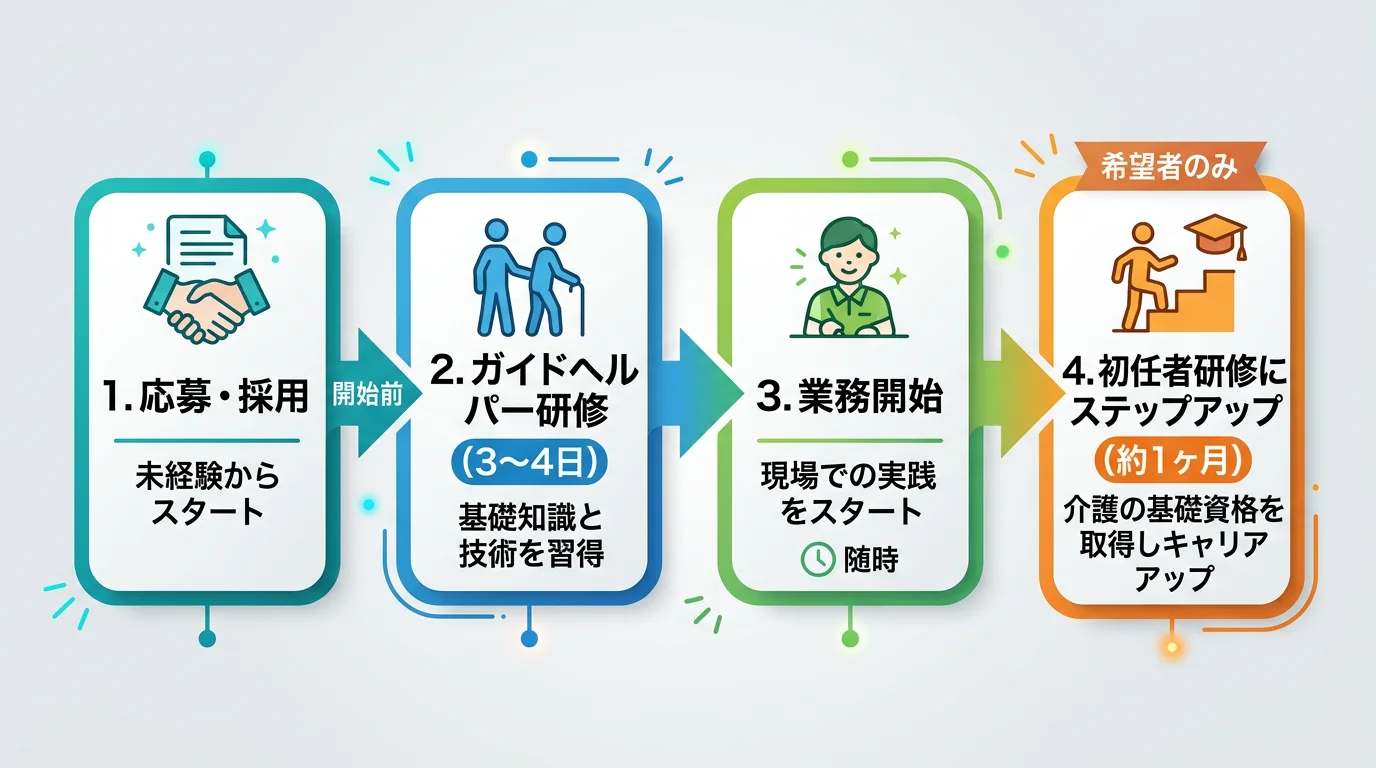 未経験から資格取得までのステップアップフロー図。応募・採用からガイドヘルパー研修(3〜4日)、業務開始、初任者研修(希望者、約1ヶ月)までの流れを矢印で示した図解