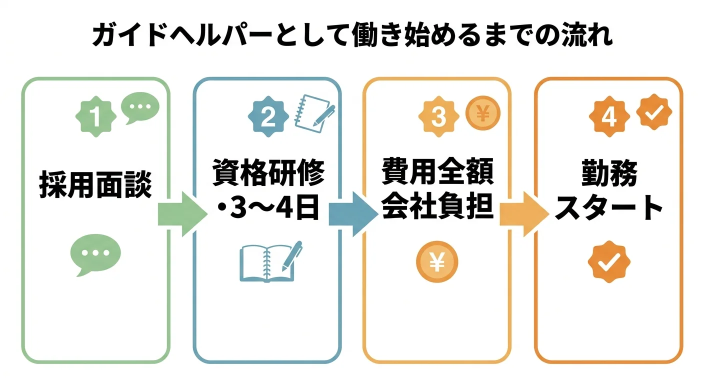 ガイドヘルパー資格取得から朝焼けでの勤務開始までのステップを示した図解。採用→資格研修3〜4日→費用全額負担→勤務スタート
