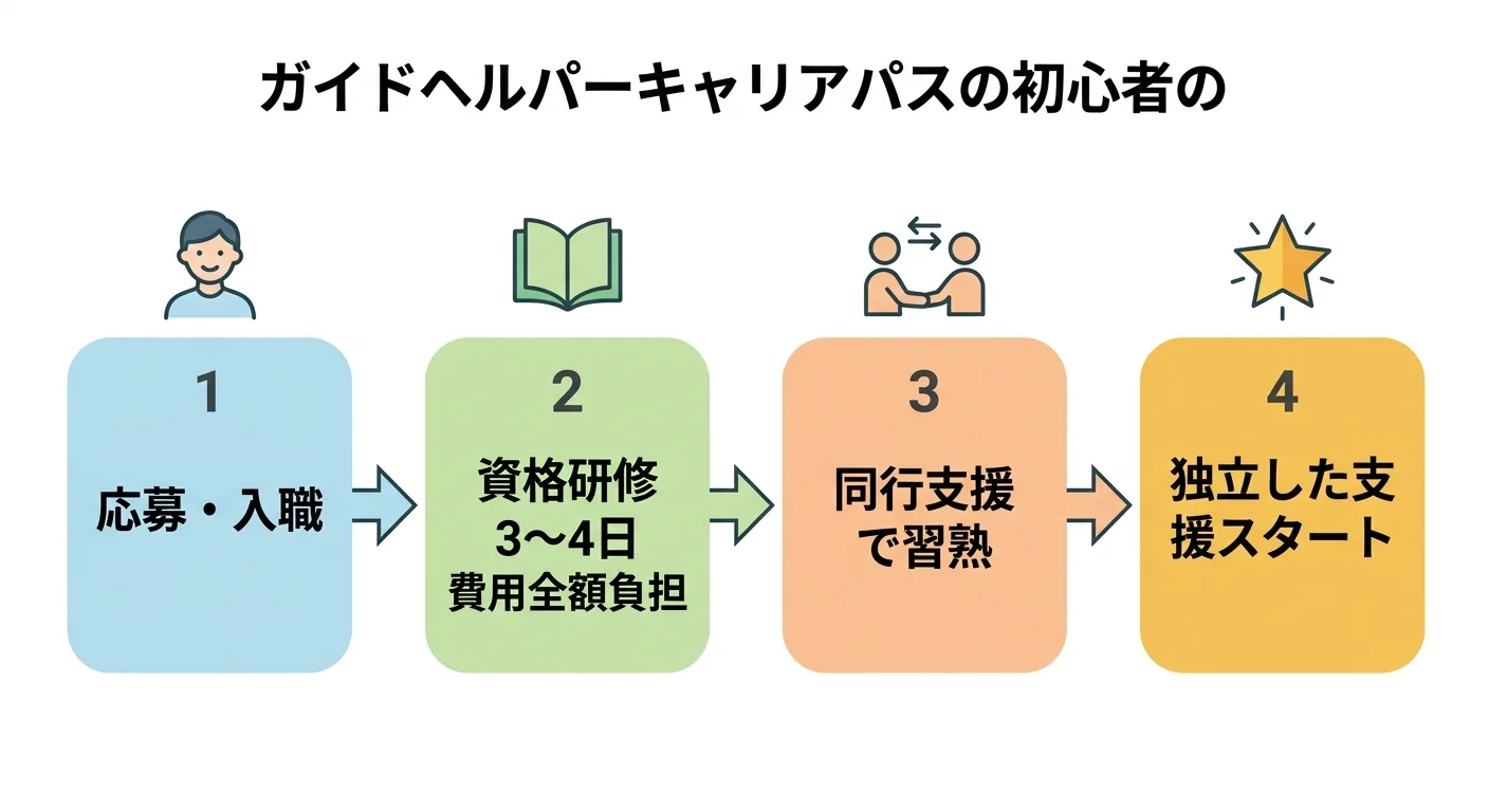 未経験からガイドヘルパーになるまでの3ステップを示した図解。応募・入職→資格取得（3〜4日・費用全額負担）→同行支援→独立した支援開始の流れ。